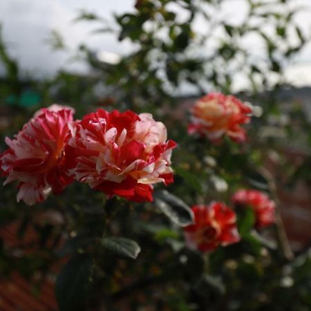 Homestay Doc Tinh ดาลัด ภายนอก รูปภาพ