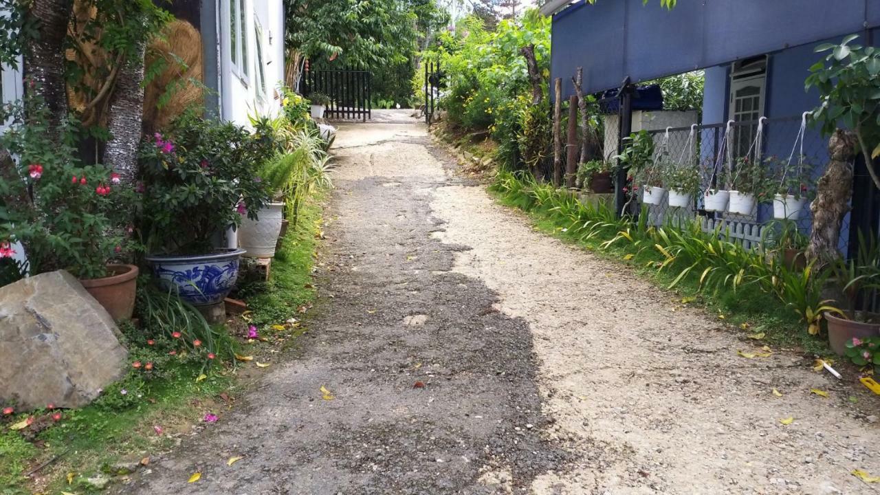 Homestay Doc Tinh ดาลัด ภายนอก รูปภาพ